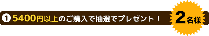 5400円以上のご購入でプレゼント！