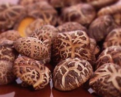 大分県乾燥椎茸